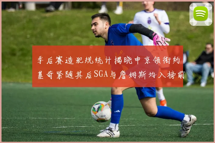 季后赛造犯规统计揭晓申京领衔约基奇紧随其后SGA与詹姆斯均入榜前十